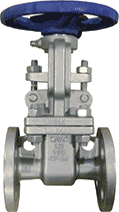 Class 150 Stainless Steel Gate Valve #SS150GT